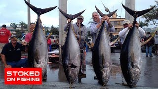 Tuna Dorado Wahoo and Marlin Fishing on The Intrepid  Part 3 [upl. by Marabelle]