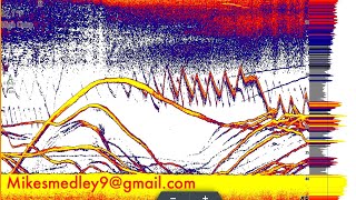 Chirp Sonar compared to Traditional Sonar [upl. by Mauretta]