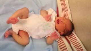 Newborn Baby Kicking and Crying [upl. by Meesak]