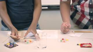 Chromatography for Kids [upl. by Haimaj323]