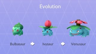 VENUSAUR Full Evolution Chain HUGE Bulbasaur And Ivysaur Evolving Into Venusaur In Pokémon GO [upl. by Nirihs]