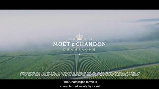 Winemaking amp SavoirFaire  220  Moët amp Chandon [upl. by Nnairak]