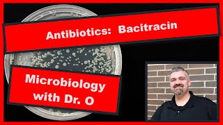 Bacitracin Antibiotic and Neosporin Microbiology [upl. by Aihsenek129]