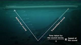 SONAR FULLY CONCEPT amp HOW IT WORK ANIMATED VIDEO [upl. by Swithin]