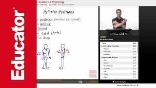 Introduction to Anatomy and Physiology [upl. by Larrie628]