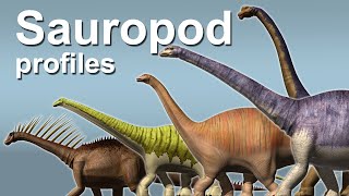 Sauropod profiles [upl. by Chandless684]