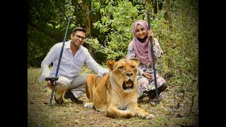 Walk with Lions  Casela  Mauritius [upl. by Hymen]