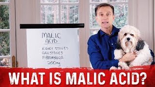 What Is Malic Acid amp Its Benefits – DrBerg [upl. by Ahders]