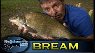 Feeder fishing for Bream  Totally Awesome Fishing Show [upl. by Ribaudo]