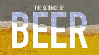 How is Beer Made [upl. by Tabatha]