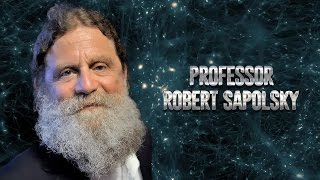 Robert Sapolsky on science morality religion and human behavioral biology Vert Dider 2017 [upl. by Ahsimet]