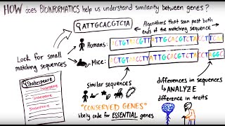 What is Bioinformatics [upl. by Peri888]