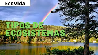 TIPOS de ECOSISTEMAS 🌳 CARACTERISTICAS FLORA y FAUNA [upl. by Halihs119]