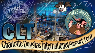 Charlotte Douglas International Airport  CLT  Complete Airport Tour [upl. by Finer]