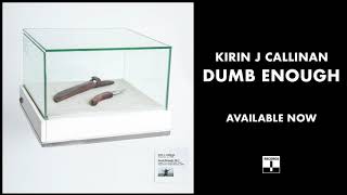 Kirin J Callinan  Dumb Enough Official Audio [upl. by Arualana]