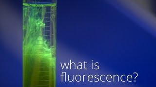 What is Fluorescence [upl. by Gurney701]