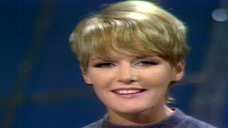 Petula Clark quotWho Am Iquot on The Ed Sullivan Show [upl. by Silloh]