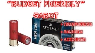 quotBUDGETquot Shotgun SABOT Slug Federal PowerShok Accuracy Review pt1 [upl. by Eus572]