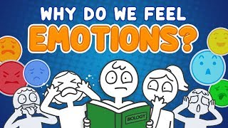 Why do we feel emotions [upl. by Acissev]