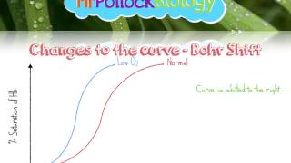 Haemoglobin amp Oxygen Dissociation Curves [upl. by Aubine]