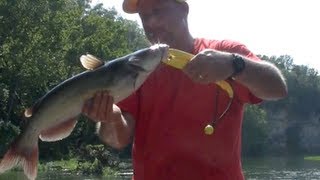 Catch a Channel Catfish in 4 MINUTES or less [upl. by Ambler]