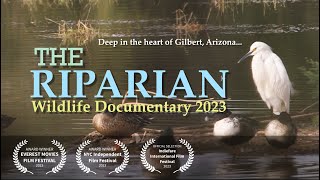 The Riparian  Wildlife Documentary [upl. by Htenay]