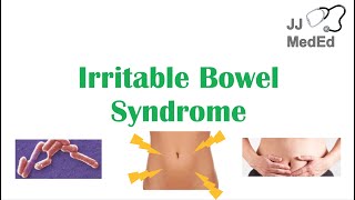 Irritable Bowel Syndrome IBS Causes Symptoms Bristol Stool Chart Types and Treatment [upl. by Adnuahsor]