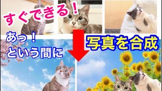 超簡単！写真の切り抜きや不要な箇所を削除できる！初心者でもあっという間に完成！【全て無料で可能】 [upl. by Eentihw]