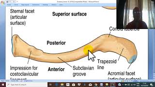 Anatomy of upper limb 1 Clavicle   by Dr Wahdan [upl. by Mcnamee133]