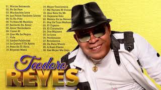 LAS 30 GRANDES CANCIONES DE TEODORO REYES  TEODORO REYES SUS MEJORES ÉXITOS [upl. by Joseph]