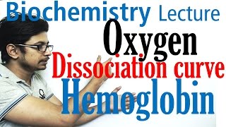 Oxygen hemoglobin dissociation curve explained [upl. by Aicen163]