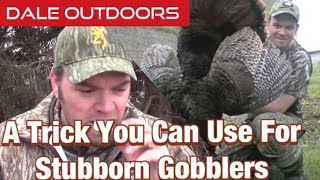 A trick you can use for stubborn gobblers [upl. by Enyaht909]