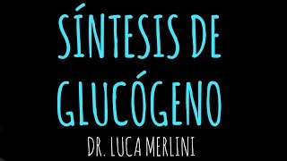 Síntesis de Glucógeno [upl. by Anilec149]