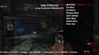 How to install a Black Ops 1 Zombie Mod Menu PC 2018 [upl. by Yenitsed]