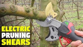 These electric shears can cut almost anything [upl. by Demmahom]