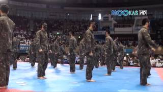 Taekwondo display by the Korean army at the 2013 Hammadang [upl. by Nilak]