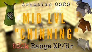 OSRS  500k Range XP ph Fastest MidLvL Method 2019 [upl. by Suirauqed]