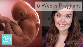 6 Weeks Pregnant What You Need To Know  Channel Mum [upl. by Delaryd]