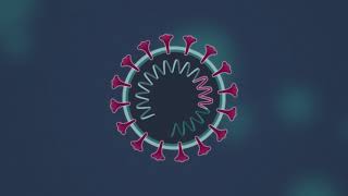 How do DNA Vaccines work [upl. by Pangaro]