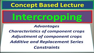 Intercropping Advantages Characteristics amp Adjustment of Component Crops and Constraints [upl. by Hadnama]