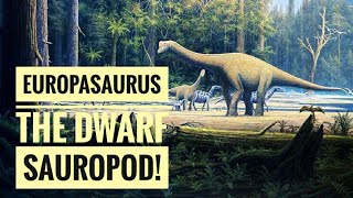 Europasaurus  The dwarf sauropod Descriptions [upl. by Gherardo461]