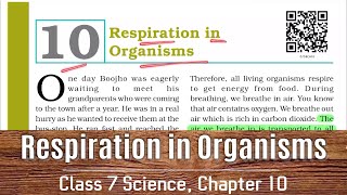 Class 7 Science Chapter 10  NCERT  Respiration in Organisms [upl. by Huxley594]