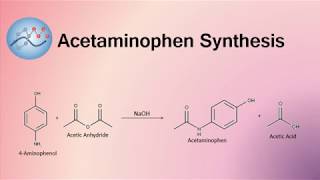 Acetaminophen Synthesis Mechanism  Organic Chemistry [upl. by Darryn768]