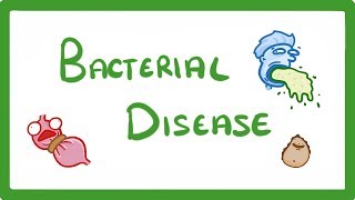 Using Genomics to Understand Azithromycin Resistance in Gonorrhea [upl. by Frankhouse53]