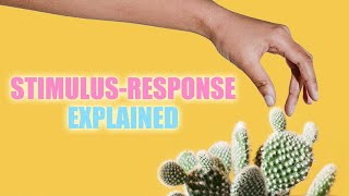 StimulusResponse Reflexes and Homeostasis [upl. by Arlee971]