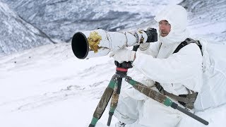 4 DAY SOLO WINTER CAMPING AND WILDLIFE PHOTOGRAPHY  off grid adventure behind the scenes in Norway [upl. by Kevon]