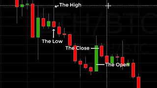 Reading A Crypto Candlestick Chart Basics [upl. by Llerrahs]