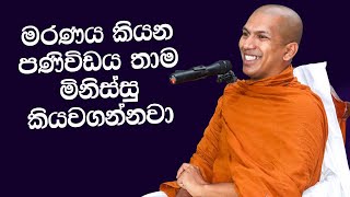 මරණය නැමැති දේවදූතයා  VenKirulapana Dhammawijaya Thero [upl. by Rotce]