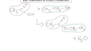 La réaction desterification [upl. by Corene400]