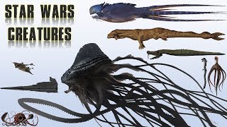 20 Biggest Star Wars Monsters  Explained [upl. by Atneuqal]